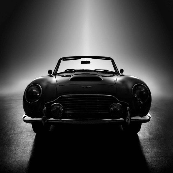 Forever Bond aus der Serie "Black Beauties" by René Staud