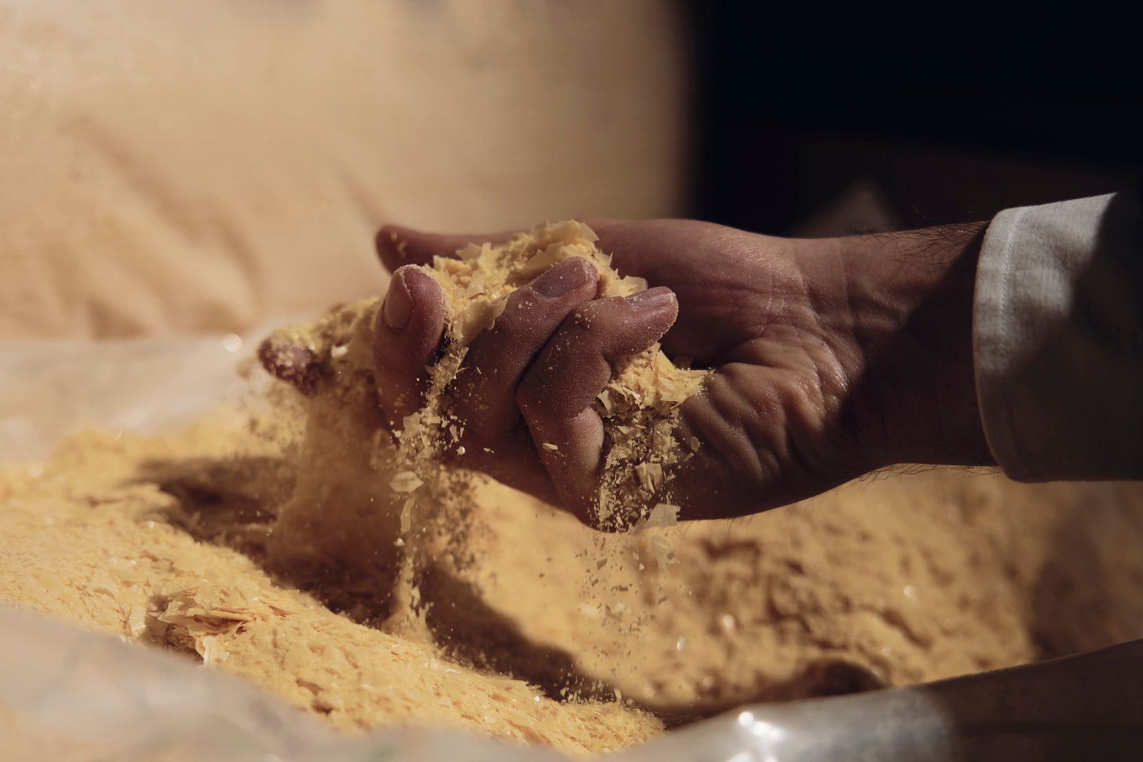 Das Schweizer Carnauba-Haus
